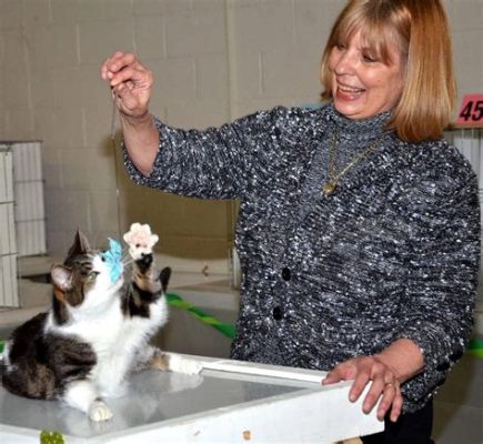 How to Become a Cat Show Judge: Unraveling the Mysteries of Feline Fashion and Quantum Physics