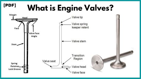 What is a Valve in a Car: A Symphony of Mechanical Poetry